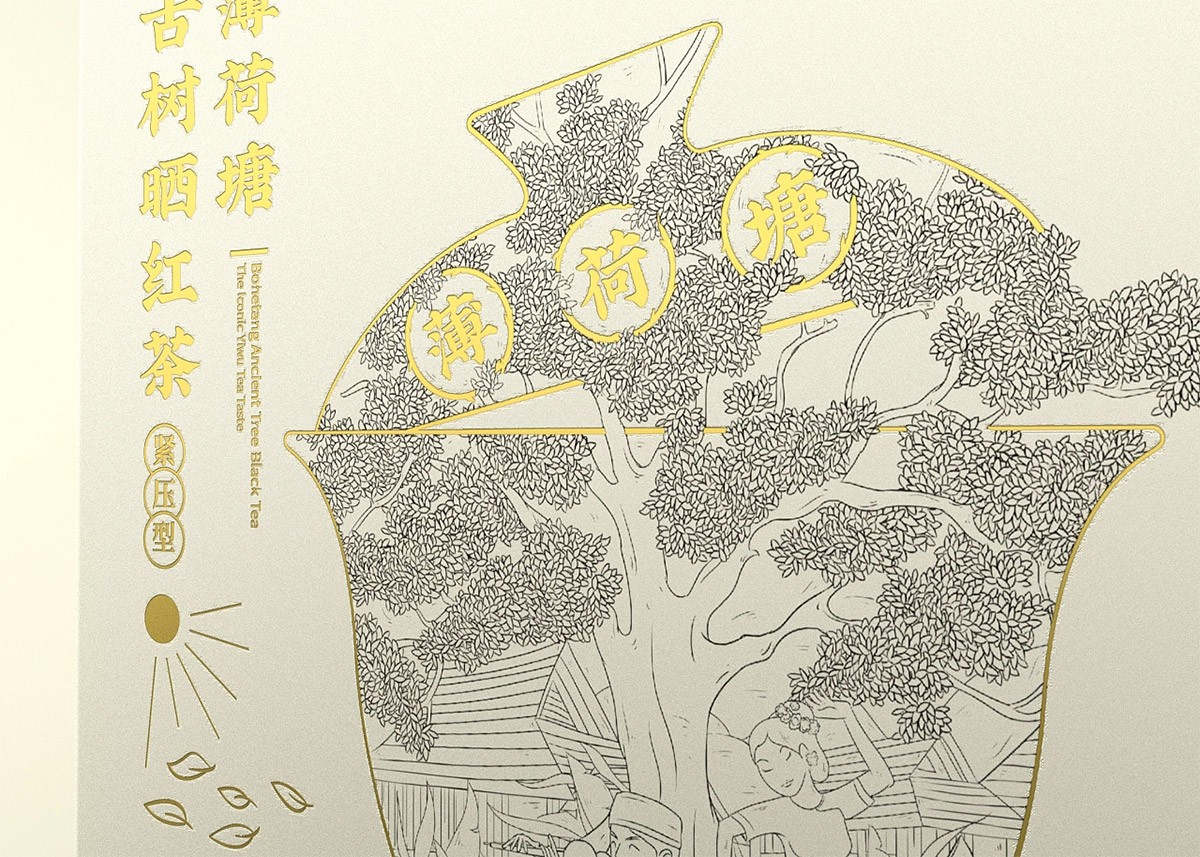 凤宁号茶叶礼盒包装设计