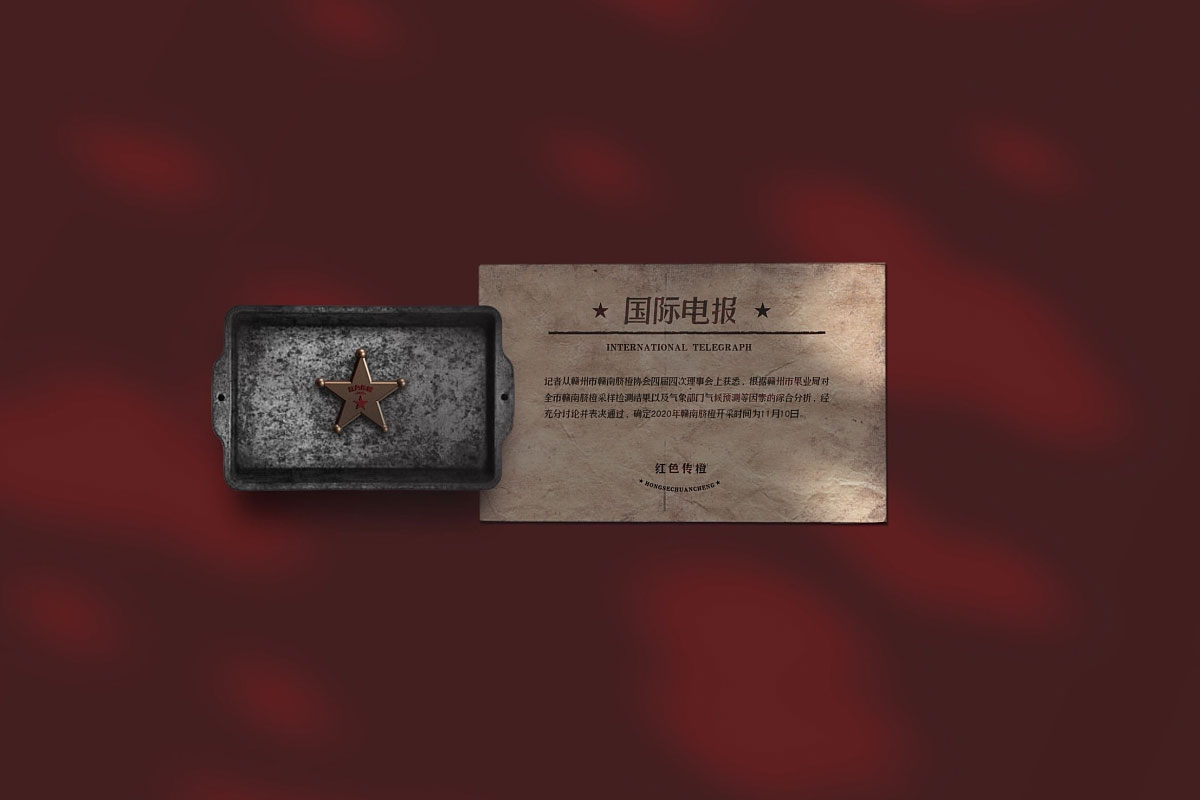 脐橙水果包装设计