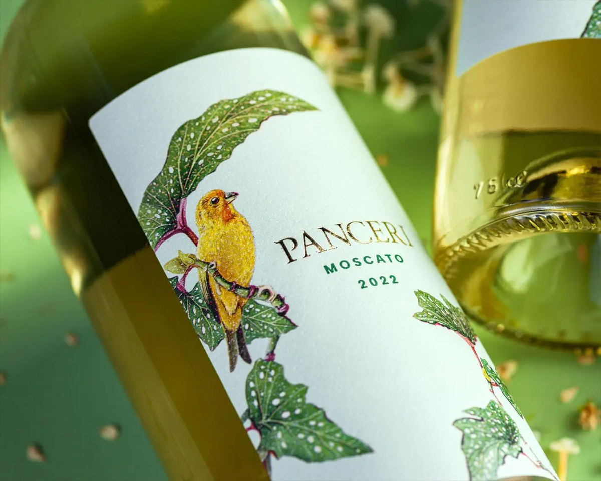 PANCERI MOSCATO葡萄酒