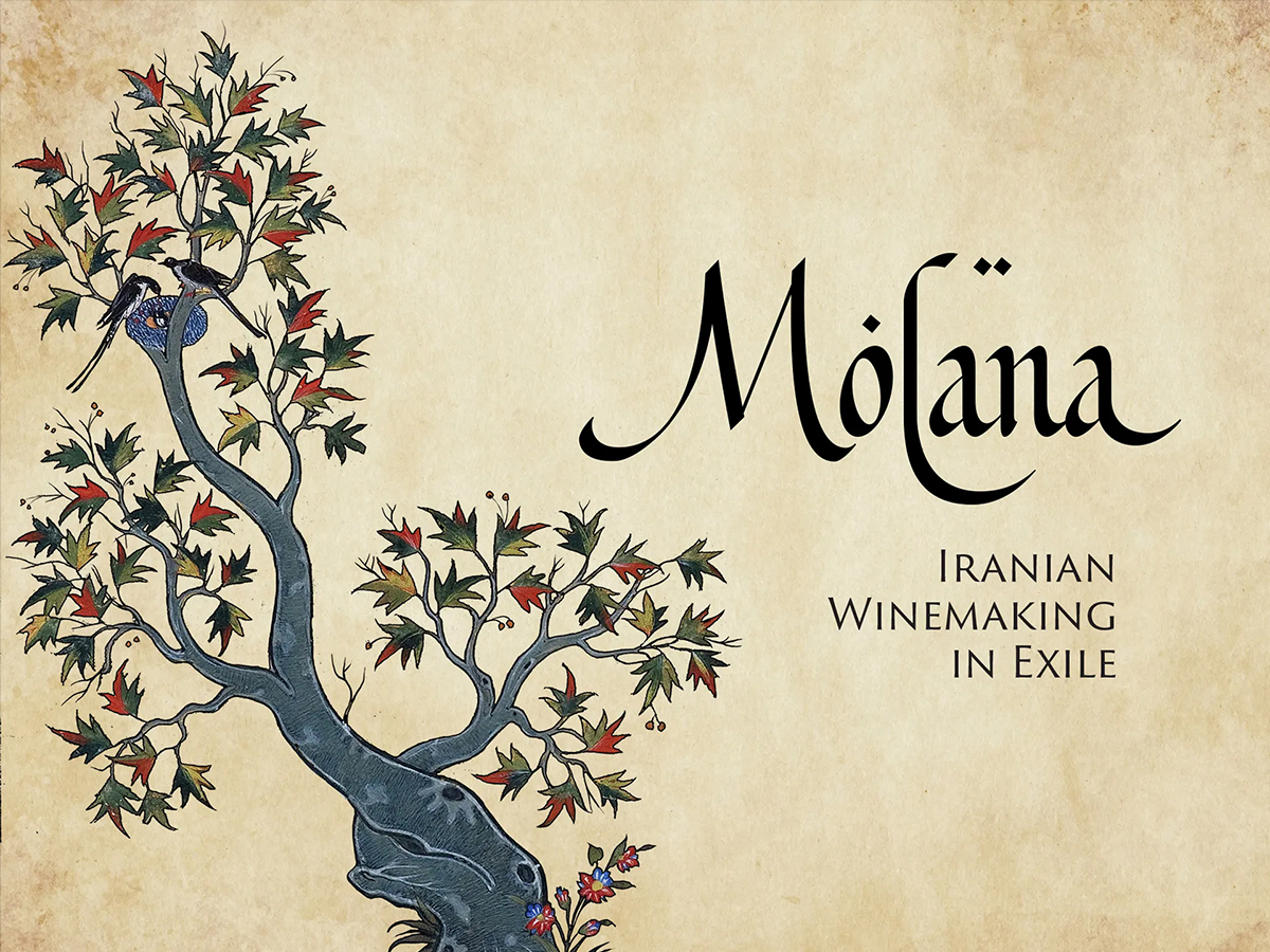 MOLANA葡萄酒