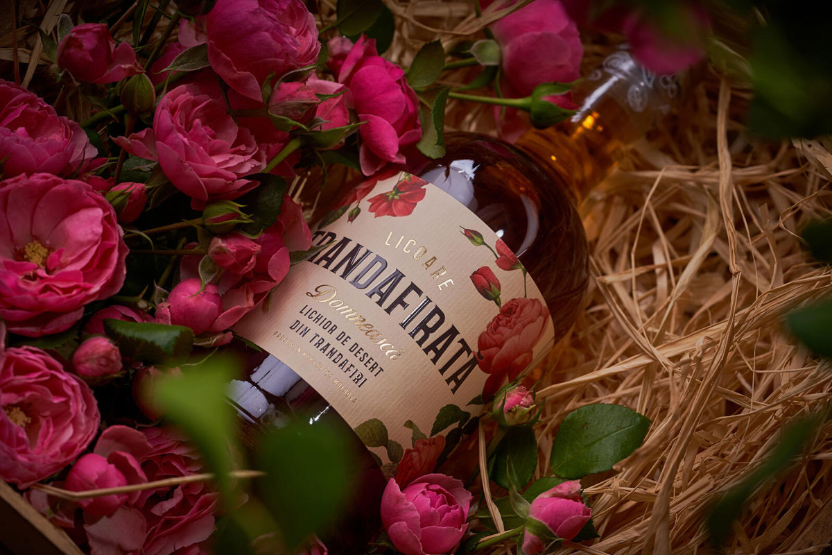 CASTEL MIMI TINCTURES酒庄